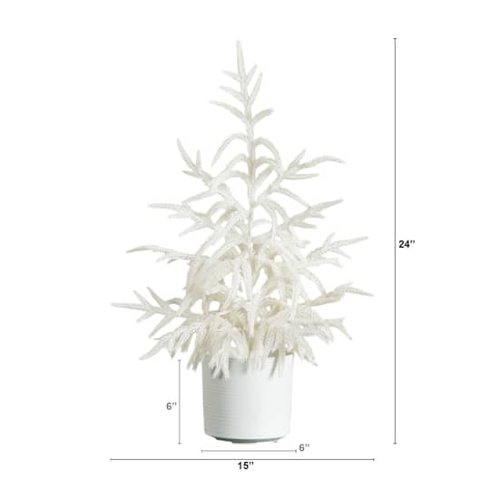 2ft. Artificial Real Touch White Norfolk Island Pine Christmas Tree with Natural Look